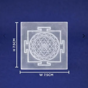 Powerful Shree Chakra